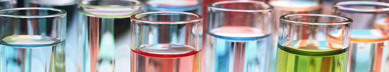 Excipients Division